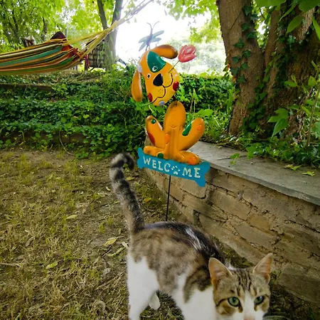 Ileana's House Daire