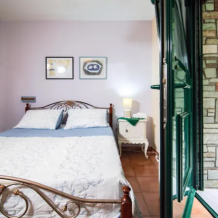 Apartment Ileana's House *