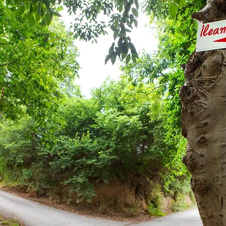 Apartment Ileana's House *