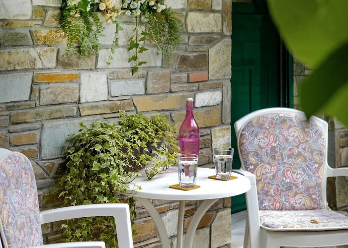 Ileana's House דירה *