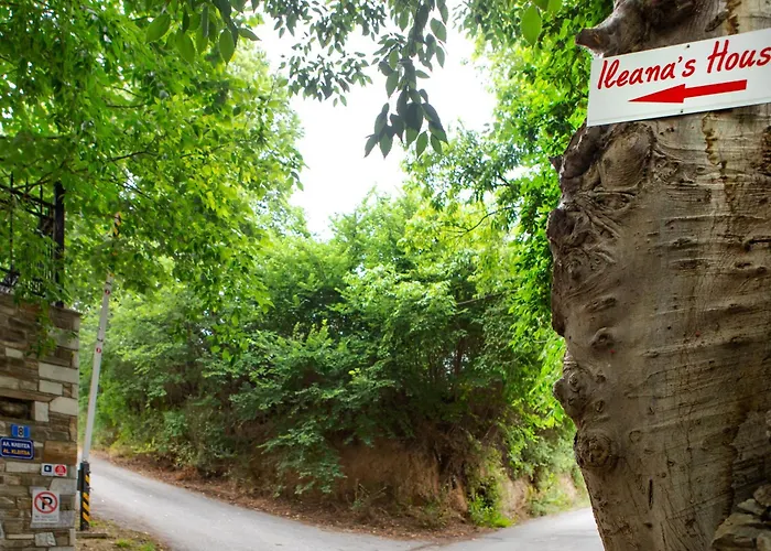 דירה Ileana's House *