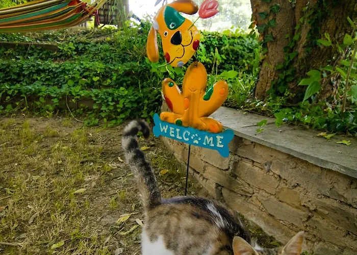 Ileana's House דירה