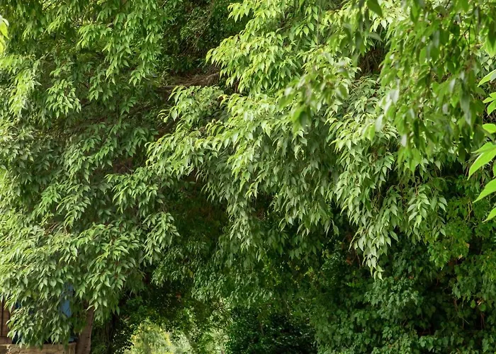 Ileana's House Lägenhet Volos